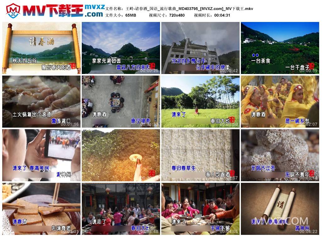 王岭-请春酒_国语_流行歌曲_MD403795